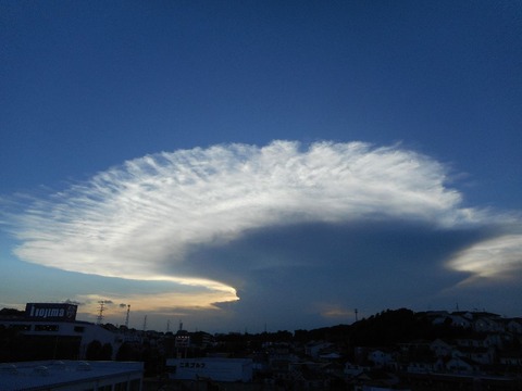 DSCN0229