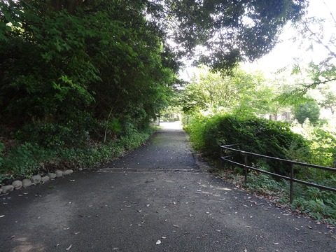 DSC06258