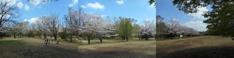 DSCN0979-11