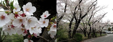 IMG_0472-1