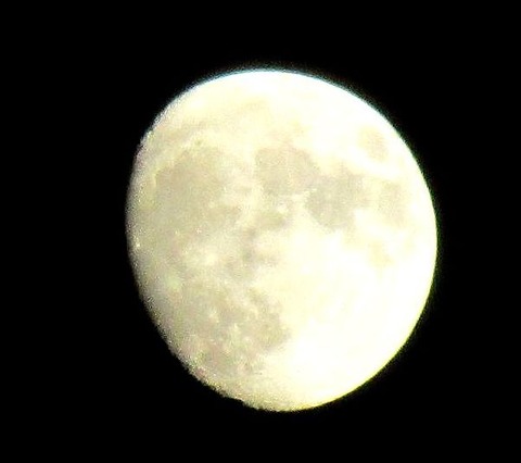 IMG_0108-11