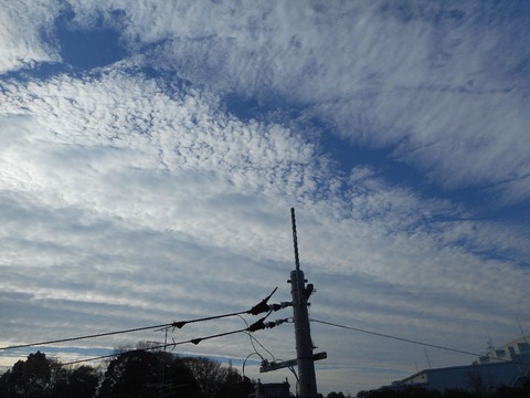DSCN0611