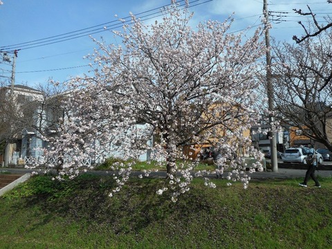 DSCN1002