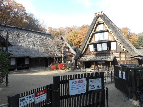 DSCN0649