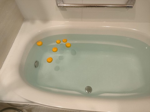 IMG20231222174340