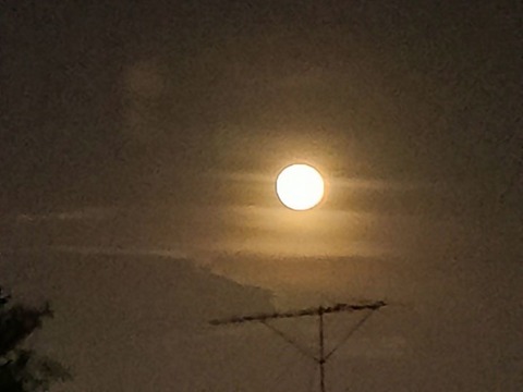IMG20230506195551