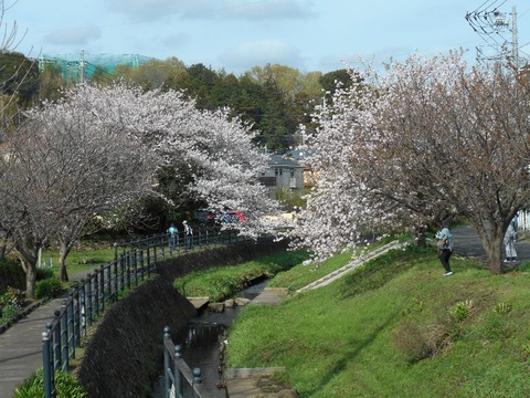 DSCN1001