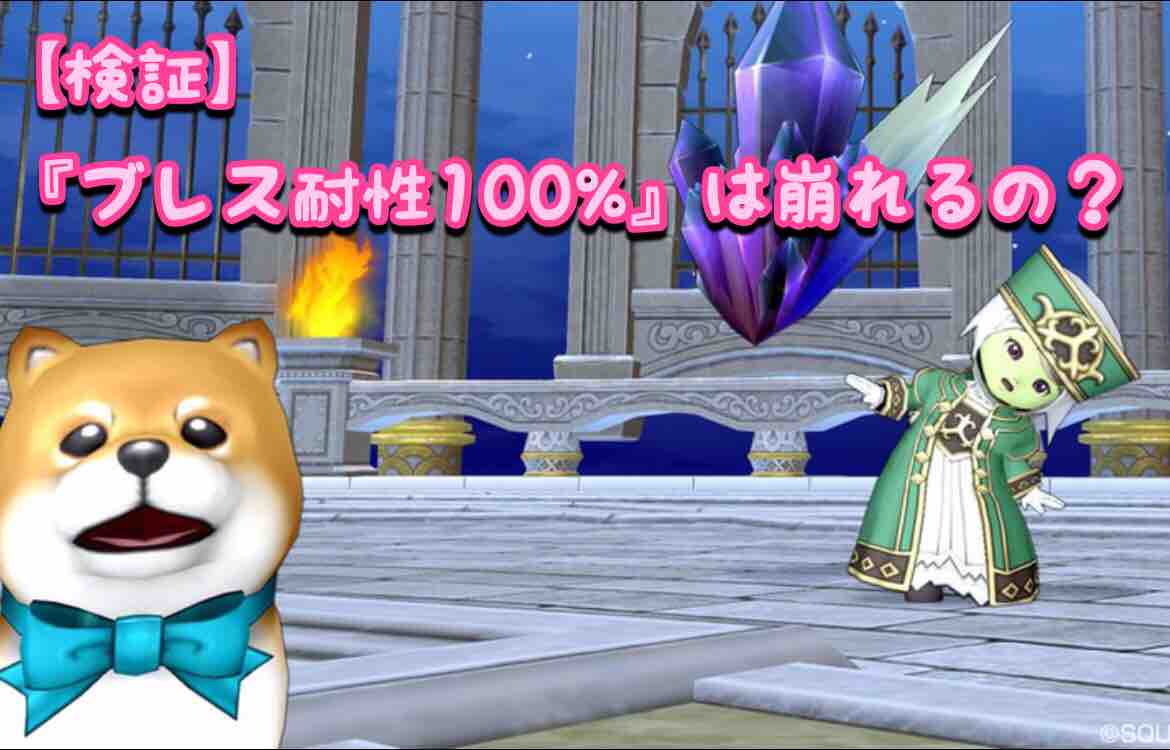 めいチャンが行く ドラクエ10奮闘記 検証 ブレス耐性100 は崩れるの めいチャンが行く ドラクエ10奮闘記 検証 ブレス耐性100 は崩れるの