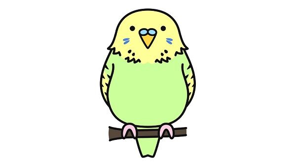 高齢者「大型インコを買いたい」店員「大型インコは寿命が長いので別の生き物の方が…」→高齢者に激怒される