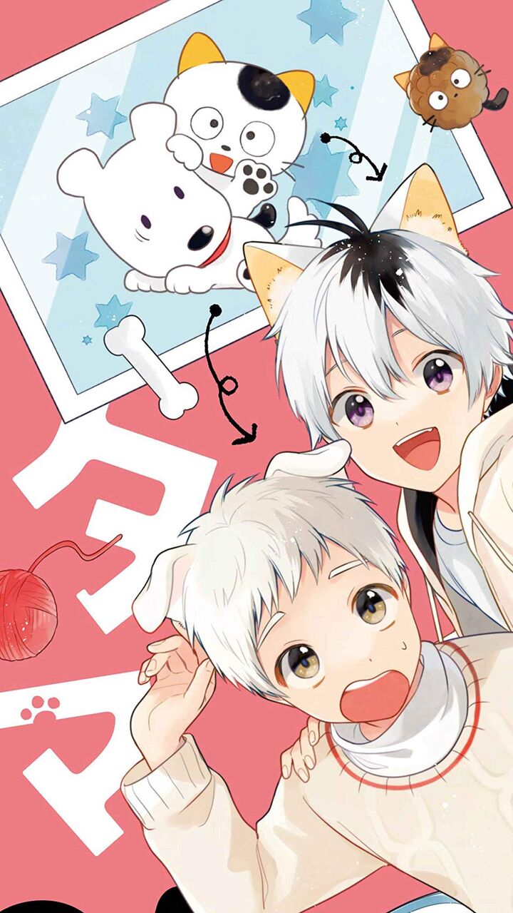 アニメ うちタマ うちのタマ知りませんか まつりばやし回で不覚にも泣いてしまうwww 感想 ネタバレ もぇもぇあにめちゃんねる アニメ うちタマ うちのタマ知りませんか まつりばやし回で不覚にも泣いてしまうwww 感想 ネタバレ もぇもぇあにめちゃんねる