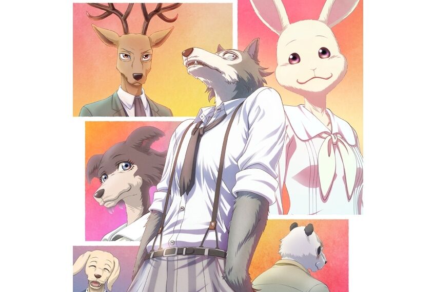 Beastars ビースターズ うさぎって寂しいと んじゃうってほんと 感想まとめﾈﾀﾊﾞﾚ系 もぇもぇあにめちゃんねる