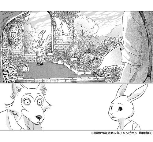 Beastars ビースターズ うさぎって寂しいと んじゃうってほんと 感想まとめﾈﾀﾊﾞﾚ系 もぇもぇあにめちゃんねる