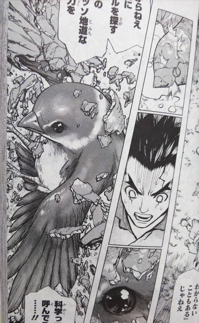 アニメ Dr Stone ドクターストーン 石化中の口の中の土ってどうなるの 感想 ネタバレ もぇもぇあにめちゃんねる アニメ Dr Stone ドクターストーン 石化中の口の中の土ってどうなるの 感想 ネタバレ もぇもぇあにめちゃんねる