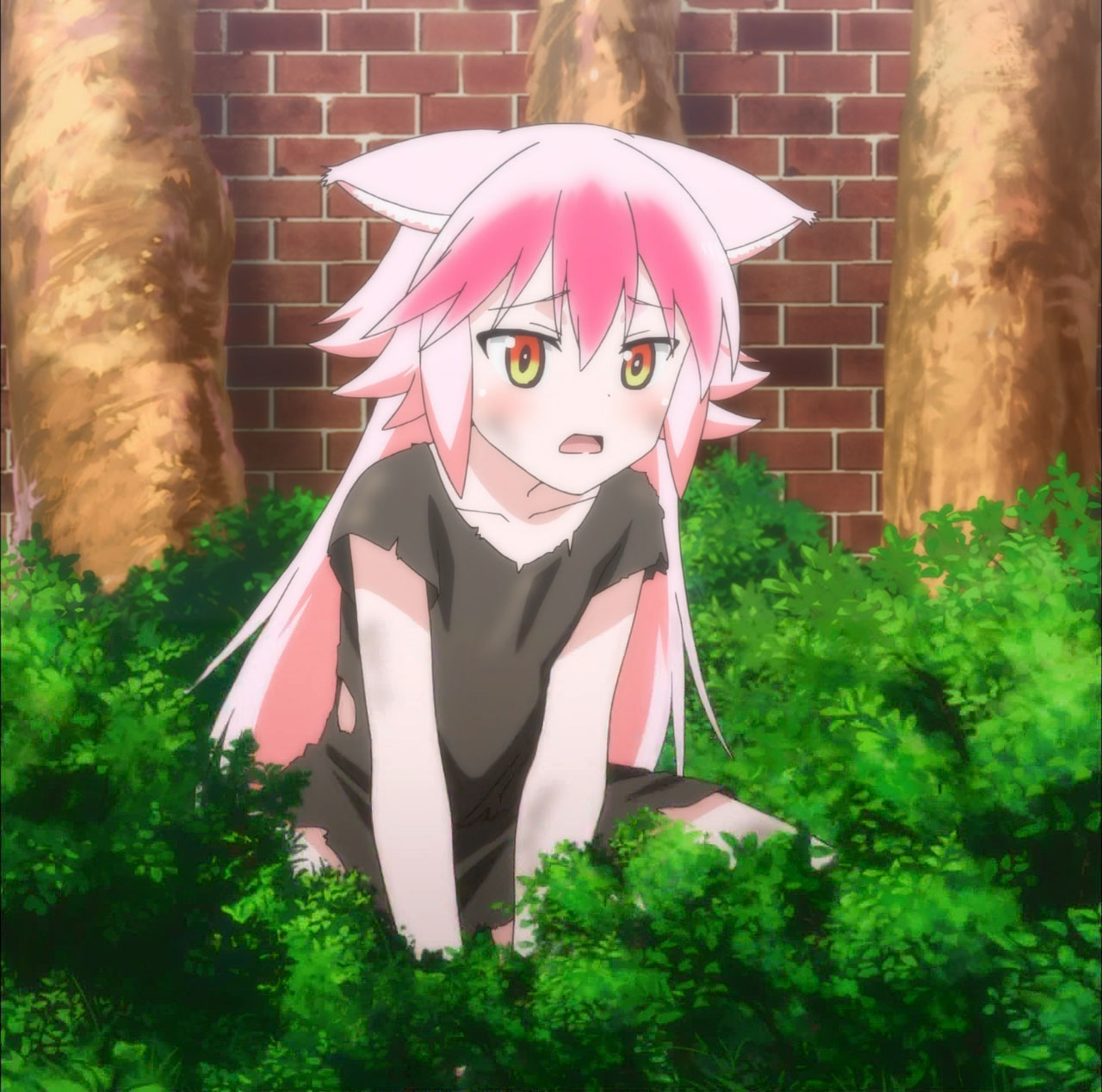 アニメ 群れなせ シートン学園の ケモナー女子が 可愛い過ぎてたまんねぇ 感想 もぇもぇあにめちゃんねる アニメ 群れなせ シートン学園の ケモナー女子が 可愛い過ぎてたまんねぇ 感想 もぇもぇあにめちゃんねる