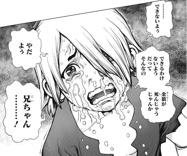 Dr Stone 最終回をみて ゲスからの逆転で好きになったwww ドクターストーン 感想 ネタバレ もぇもぇあにめちゃんねる Dr Stone 最終回をみて ゲスからの逆転で好きになったwww ドクターストーン 感想 ネタバレ もぇもぇあにめちゃんねる