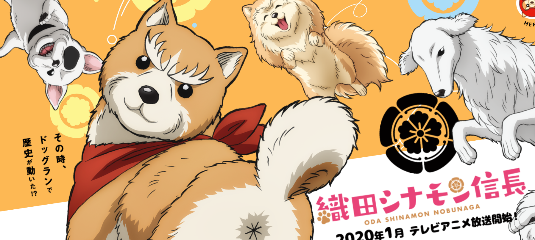 アニメ 織田シナモン信長 動物アニメって癒されると言う実例 犬好き必見 もぇもぇあにめちゃんねる アニメ 織田シナモン信長 動物アニメって癒されると言う実例 犬好き必見 もぇもぇあにめちゃんねる