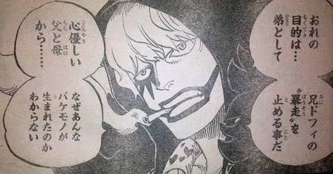 漫画 ｱﾆﾒ ワンピース 敵キャラに悲しき過去とかいらんw もぇもぇあにめちゃんねる