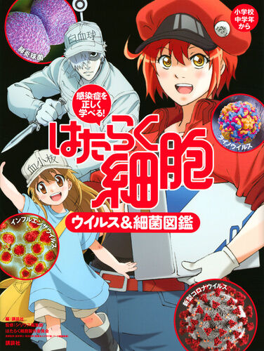 アニメ はたらく細胞 割と 内容が解りやすい 良質アニメ とりあえず面白い 感想 もぇもぇあにめちゃんねる