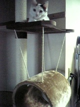 0fd16e75.jpg