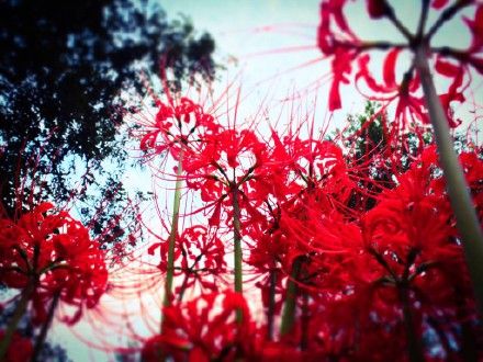 20150923_03