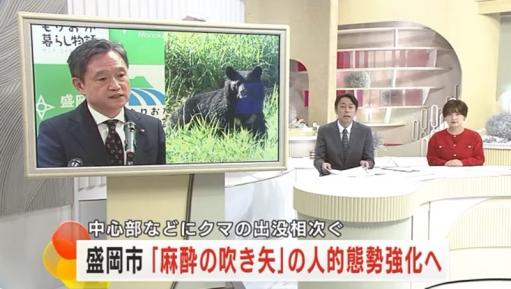 【!?】 vs クマの最終兵器として「吹き矢部隊」投入へwwwwww