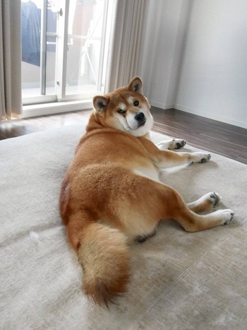 no title