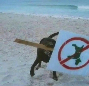 no title