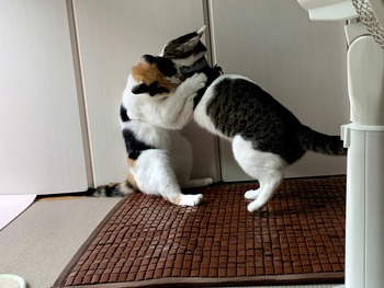 no title