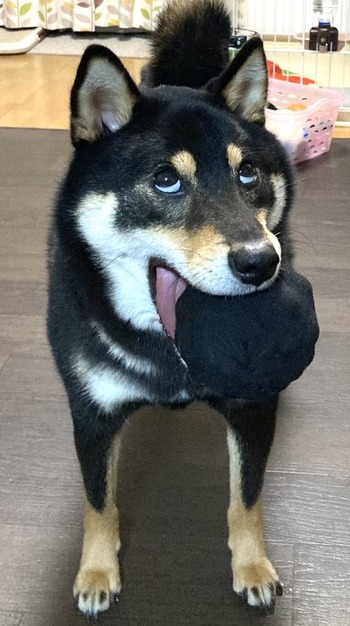 no title