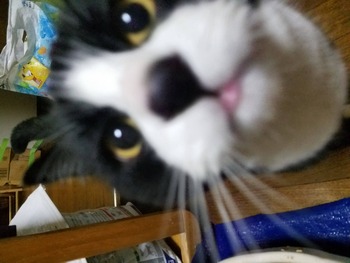 no title
