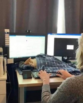 no title