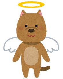 pet_angel_dog