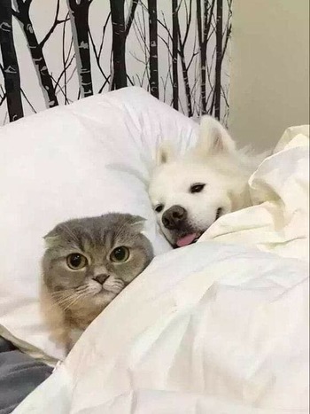 no title