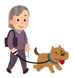 pet_dog_sanpo_obaasan