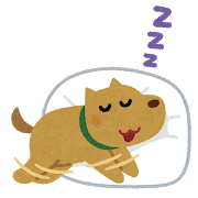 dog_sleep_run