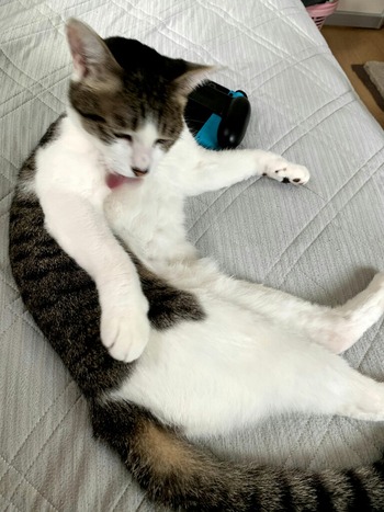 no title