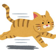 run_cat