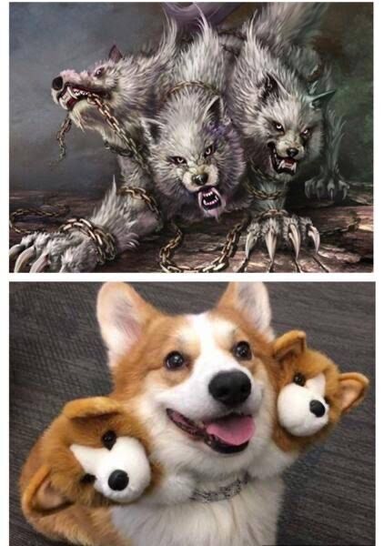 最強の猫 ライオン 最強の犬 うまうま速報