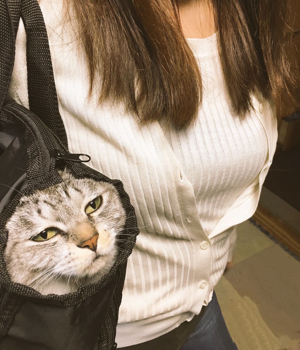 画像 柴イッヌさん マムシに噛まれてしまう 名前がラッキーなのにアンラッキー もっふるちゃんねる 画像 柴イッヌさん マムシに噛まれてしまう 名前がラッキーなのにアンラッキー もっふるちゃんねる