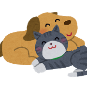 dog_cat_nakayoshi