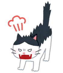 cat_angry