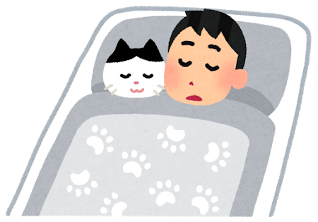 猫と一緒に寝るのつらい もっふるちゃんねる 猫と一緒に寝るのつらい もっふるちゃんねる