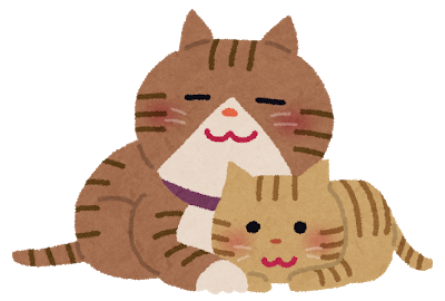 ほのぼの 猫は可愛いを売っている可愛い屋さんwwww もっふるちゃんねる ほのぼの 猫は可愛いを売っている可愛い屋さんwwww もっふるちゃんねる