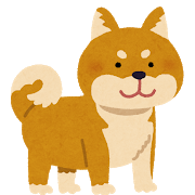 dog_shibainu_brown