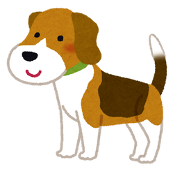 dog_beagle