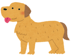 dog_golden_retriever