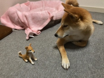 no title