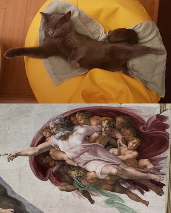 no title