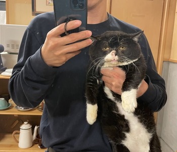 no title