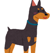 dog_doberman